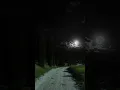 Lagu Moonlight just bright my soul #moon #night #view #wild #forest #water
