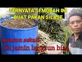 Download Lagu Cara Buat Pakan Silase Rumput Odot Paling Mudah Dan Anti Gagal Semua Pasti Bisa