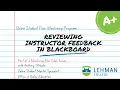 Online Student Peer Mentoring Program Mentoring Minis Reviewing Instructor Feedback in Blackboard
