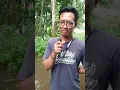Download Lagu Banjir kebumen!! Reporter dadakan melaporkan situasi.