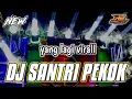 Lagu DJ SANTRI PEKOK X MELODY SYAHDU || byr2 project official remix