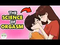 The Science of Orgasms How They Work and Why They Feel Good