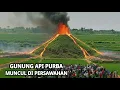 Lagu Viral !! Fenomena Alam Gunung Api Purba Muncul Ditengah Persawahan Warga