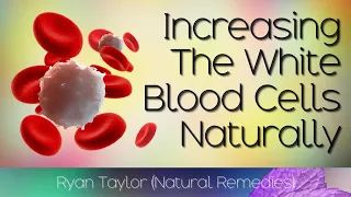 Download How To Increase White Blood Cells MP3