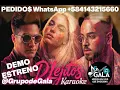 Karaoke D'Lejitos Elena Rose ft Chino y Nacho (DEMO)