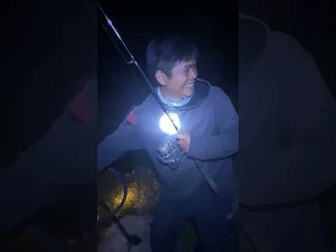 Báo cá