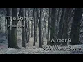 The Forest - A Year 9 500 Word Story