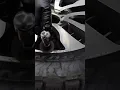 Curb Rash Wheel Repair