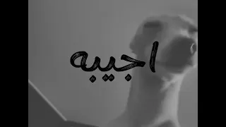 ادلل واطبطب     تنين    دندنها