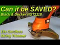 Can it Be Saved My NST2118 Black Decker 18v Cordless String Trimmer is making a SCREECHING NOISE