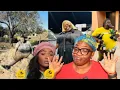 Download Lagu Your Comments On My Dear Makhi Video Were Wild Like OMG