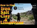 Medieval Dynasty Iron Salt Limestone Clay Locations