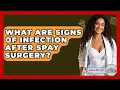 What Are Signs Of Infection After Spay Surgery - Ask A Pet Vet