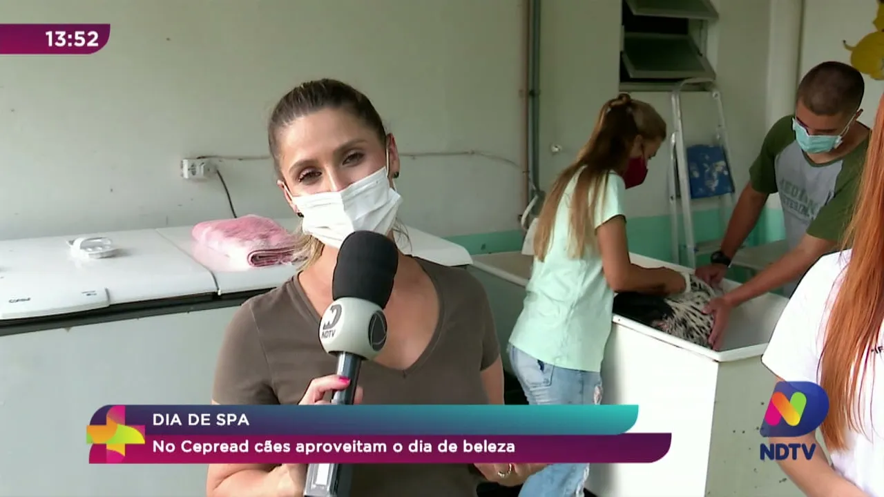 Me adota: no Cepread cães aproveitam o dia de beleza