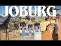 Download Lagu JOHANNESBURG TRAVEL VLOG 🇿🇦 | CULTURE | HISTORY \u0026 HIDDEN GEMS 