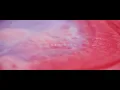 神はサイコロを振らない「胡蝶蘭」【Official Lyric Video】
