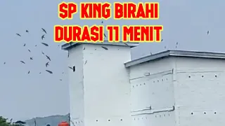 sp king bihari durasi 11 menit