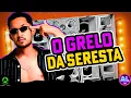 Download Lagu O GRELO DA SERESTA - SERESTA 2025 AS MELHORES - AS MAIS TOCADAS TIKTOK - SELEÇÃO SERESTA PRA PAREDÃO