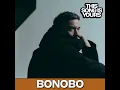Bonobo