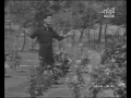 عمي يا بياع الورد - رضا علي