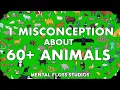 Misconceptions About 64 Different Animals Mental Floss