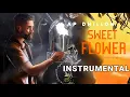 SWEET FLOWER || INSTRUMENTAL || AP DHILLON
