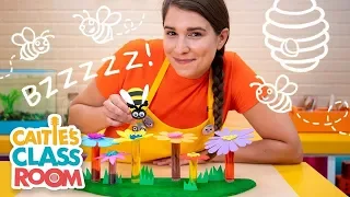Caitie's Classroom Live - Bees!