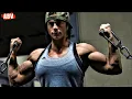 FEMALE MUSCLE GROWTH DEVIANTART FBB WORKOUT KRISTEN