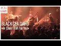 Download Lagu Black Sea Dahu - In Case I Fall for You (Live at Le 106 - #Rouen, France)