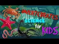Invertebrates or Animals without Backbone Science for Kids
