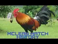 MCLEAN HATCH HISTORY
