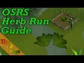 OSRS Herb Run Guide Make Money Growing Herbs Herb Runs