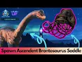 Ascendant and primitive Bronto Saddle Spawn Command Ark Survival Ascended