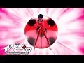 MIRACULOUS LADYBUG - Transformation Tales of Ladybug and Cat Noir