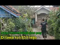 Download Lagu Alam ya adem ayem!!Ada rumah mungil mau di jual 85jt Nego