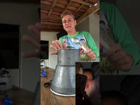 Segredo Pra levantar pintinho desanimado