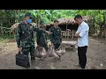 Download Lagu Os guardas florestais confiscaram todas as propriedades de Tran Cong por um motivo surpreendente.