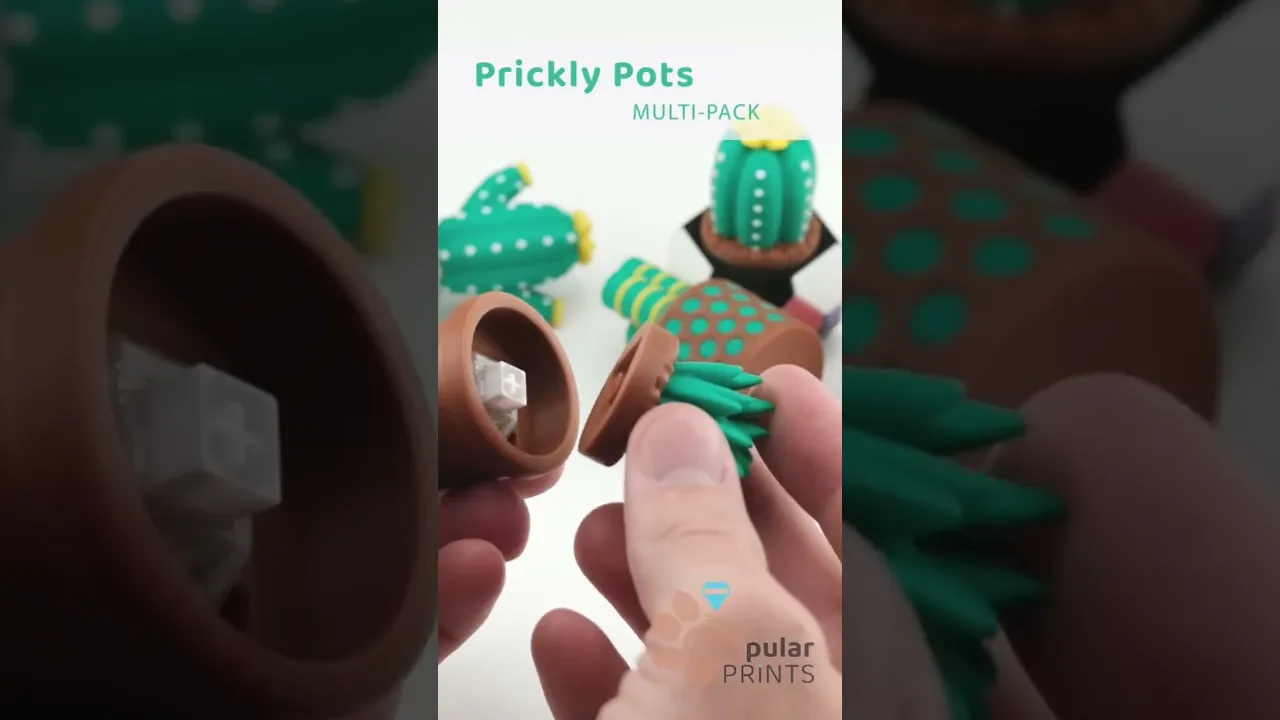 Prickly Pots video thumbnail