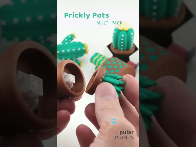 Prickly Pots video thumbnail