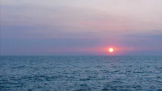 دعاء الطاروطى    روووووعه دندنها