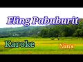 Download Lagu ELING PABUBURIT - NINA (Karoke)