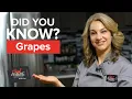 Are Grapes Berries or Fruits Fun Food Facts