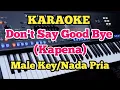 Lagu DON'T SAY GOOD BYE (Karaoke Male/Nada Pria - Kapena \u0026 Willie K