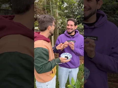 a nossa primeira colheita de amoras 🥹 #vlog #casal #rotina #chacara