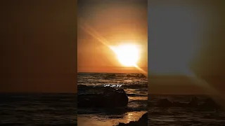 Fadel Chaker Rouh El Baher 2025 فضل شاكر روح البحر فضل شاكر Rouh El Baher Fadelchaker 