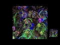 Audio visualizer with processing