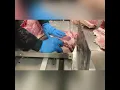 Fred the Butcher