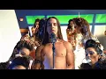Download Lagu Red Hot Chili Peppers - Aeroplane [Official Music Video]