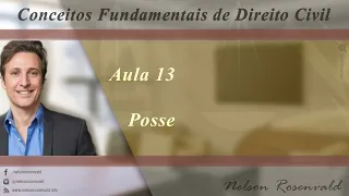 Conceitos Fundamentais de Direito Civil - Nelson Rosenvald - Posse