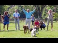 Dog Island opens in Boise s Ann Morrison Park with wide open spaces and barks of joy